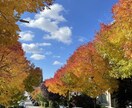 カナダ / バンクーバー留学の相談にのります 現地カレッジ留学生が今のカナダ留学について生の声を届けます！ イメージ1