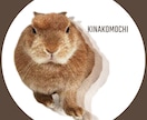 お写真からポップアート風アイコンを制作いたします 動物も人もOK！使いやすくおしゃれなシンプル丸アイコンに◎ イメージ3