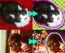 写真からおしゃれなアートを作ります ペットや赤ちゃんの写真を♡おしゃれに♡かわいく♡かっこよく イメージ2