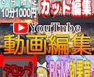 8月限定　YouTube動画編集します 8月31日まで、10分1000円！ イメージ5