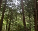 九星気学で開運鑑定、神社祈祷も致します 引っ越し鑑定、開運(祐気どり)鑑定、改築、解体鑑定等 イメージ1