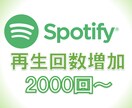 Spotifyの楽曲再生回数を増やします ココナラ最安値でも高品質　保証付き　振り分け無料！ イメージ6