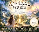 あなたの人生をまるごと読み解く特別鑑定をします 過去・今・未来。あなたの人生を一つの物語として読み解きます イメージ1