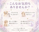 ペットさんとお話しします ペットさんからのメッセージをお届けします イメージ3
