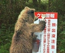 田舎のクマが話を聞きます 田舎のクマさんの出張所　気軽においで イメージ1