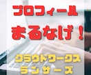 クラウドソーシングのプロフィールをまるなげできます スキルには自信があるけど文章が苦手なあなたを全力でサポート！ イメージ1