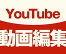YouTube動画編集制作いたします ビジネス系動画からエンタメ動画まで制作できます イメージ1