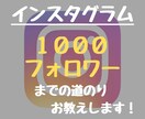 インスタ1000フォロワーまでの道のり教えます ゼロから25日で1300フォロワー集めた方法をお伝えします イメージ1