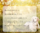 愛犬と飼い主様の心を繋ぎたい。ワンコと話します タロット・ダウジング・アニコミの３本柱で愛犬の気持ちを深堀り イメージ3