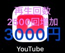 YouTube再生回数2500回増やします ⭐️最速・最短⭐️再生回数＋5,000回増えるまで拡大します イメージ1
