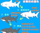 特徴捉えたゆるくてかわいい海洋生物アイコン描きます SNS・アイコン・グッズに★水族館 海 サメ 動物好きなど イメージ4