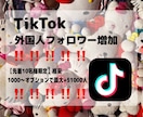 限定価格‼️Tiktokフォロワー増やします 実績作り✴︎格安✴︎Tiktokフォロワー増加✴︎即納 イメージ1
