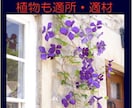 小さなガーデニング/ビオトープをアドバイスします 植物のある生活への初めの一歩に華あるご提案 イメージ1