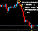 FXで専業しておりますデイレ－ドになります リニューアルいたしました、ゴールド専用です イメージ2