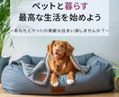 心と目を引くバナー作ります スピーディーで高品質／低価格なデザインをいたします。 イメージ4