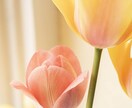 女性の恋愛♡あなたらしさが大切！☆☆私が輝かせます 恋愛相談♡恋人/話し相手/悩み/彼氏/失恋/片思い/愚痴喧嘩 イメージ3