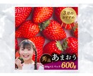 ECサイトやSNS用の画像制作します 3枚 3000円〜即日納品可お気軽にご相談ください イメージ1