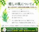 占いだけではなく、誰も言ってくれないことを伝えます 「占い＋人生経験」であなたの迷いを整理します イメージ6