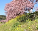 あなただけの旅を演出します Japan Travel Planner イメージ1