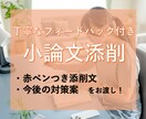 推薦/AO/一般入試【大学受験の小論文】添削します キャリア×記事の専門家が”読み応えのある文章”に仕上げます！ イメージ1