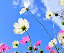 あなたの開運ポイントマインドを整え幸せにします 未来を創造して１００%の人生を生きる事にフォーカスします イメージ2