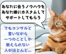 ネット副業を成功に導くオーダーメイドコンサルします 初心者でも稼ぐための力と戦略が手に入る！販売自動化も可能！ イメージ6