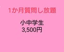 チャットで１か月質問し放題！丁寧に教えます 元教員、現プロ家庭教師が指導します。 イメージ1