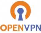 OpenVPN構築、中国で安定に使えます セルフホスティングでプライバシーMAX、中国滞在日本人に向け イメージ1