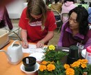 リハビリ、レクで園芸療法！認定園芸療法士が教えます 植物で人を癒す園芸療法。やり方、プログラムをオンラインで紹介 イメージ1