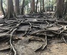 夢、恋愛、仕事、愚痴等なんでもお話し相手になります 知り合いに言えないことをとにかく誰かに聞いて欲しい方へ イメージ6