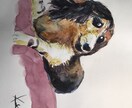 人物画、動物画を水彩画で描きます らしさ、可愛いさ、親しみ感がテーマです。 イメージ1