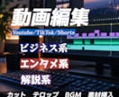 YouTubeやTikTokなどの動画編集をします ショート動画とロング動画のどちらも3000円でやります！ イメージ1