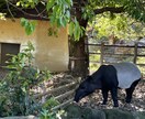 動物園の写真　【先着5名】　5→10枚提供します 商用利用OK！掲載写真全て、各種画像・動画に使えます！ イメージ10