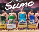 限定5名様！相撲についてのお話相手になります 九州場所期間中、相撲の話を誰かにしたいけど、通じる相手が。。 イメージ1