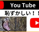 YouTube動画の編集します 【おもしろ動画～ビジネス動画まで】5000円～相談可 イメージ2