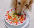 愛犬の声を聞いた手作りごはんをお伝えします 手作り初心者さんでも簡単にできる栄養満点レシピ イメージ9