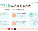 SNS向けショート動画を丁寧に編集します カット・テロップ・BGMまで見やすく仕上げます イメージ2