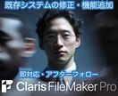 FileMaker システムの簡単な改修承ります ちょっとしたお悩みご相談ください！ イメージ1