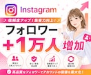 Instagram 高品質フォロワー1万人増加ます 高品質フォロワー運用｜1万人以下対応｜柔軟な振分け可 イメージ1