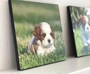 大切なペットを優しく残すデジタルアート作成します スマホ写真1枚でOK！想いを込めた言葉付パネル・ポスター対応 イメージ5