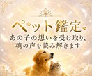 天啓ペット霊視 | 愛するペット様の想いを伝えます 大切な我が子の言葉にできないあなたの願いを受け取りお伝えする イメージ1