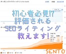 初心者必見!?SEOライティングのノウハウ教えます 本当に評価されるライティング技術が身につけば集客は簡単です! イメージ1