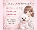 子犬のしつけ・噛み癖・トイレの悩みアドバイスします あなたと愛犬に合った“無理しないしつけ”をご提案します イメージ3