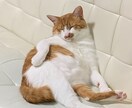 心の悩みを受け止めます 鬱やお子様の不登校問題等、どんな事でも気軽にお話しください。 イメージ1
