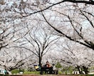 最安値でアウトドアの撮影代行・ロゴ合成をします アウトドアバイヤー・販促経験有りカメラマンが撮影・レタッチ！ イメージ6