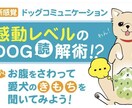 ワンちゃん専門オモシロ腸相診断をオンラインします 愛犬の心の声聞いてみませんか？ イメージ2