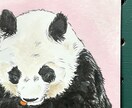 ご依頼済みイラストの商用利用ご対応します 納品済みイラストの商用利用ご対応ページです。 イメージ1