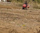 自然栽培の方法教えます、農業の相談乗ります 農業始めたい方に無農薬、無肥料での野菜の育て方教えます！ イメージ3