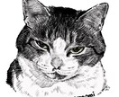 シックでかっこいいペット似顔絵描きます モノクロでうちの子をかっこよく描きます イメージ10