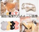 ハンドメイドサイト ミンネ 商品登録代行します ミンネ(minne)商品登録代行 5商品3000円 イメージ4